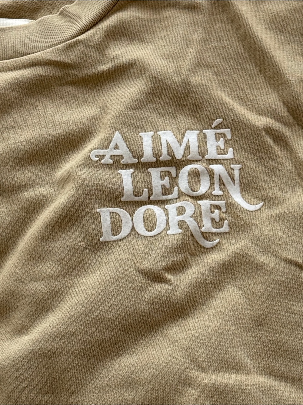 Aimé Leon Dore Logo Tee